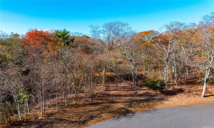 51 Beach Plum Road, Sag Harbor, NY, ,Land,For Sale,Beach Plum,3590793