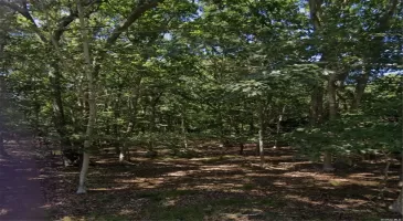 32 Delavan Street, East Hampton, NY, ,Land,For Sale,Delavan,3591222