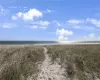 Ocean Dunes