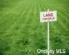 Ethel Lane, Coram, NY, ,Land,For Sale,Ethel,3592666