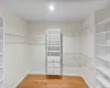 One of Two Walk in Closets