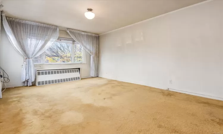 Spare room with carpet floors, radiator, and ornamental molding