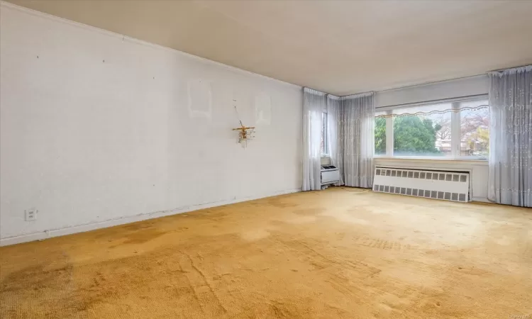 Carpeted spare room featuring crown molding and radiator