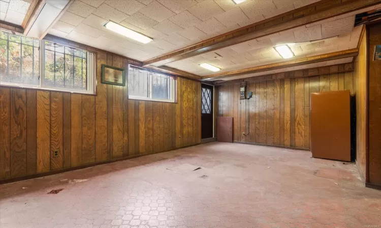 Basement with wood walls