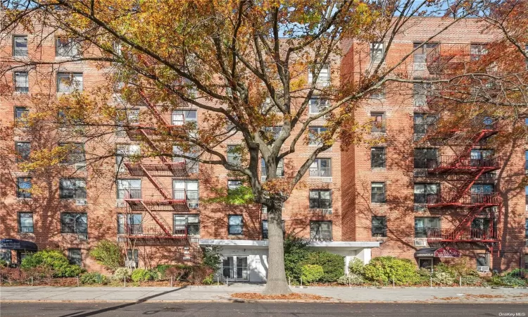 140-15 Holly Avenue, New York, NY, 1 Bedroom Bedrooms, 3 Rooms Rooms,1 BathroomBathrooms,Residential,For Sale,Holly Avenue,L3591191