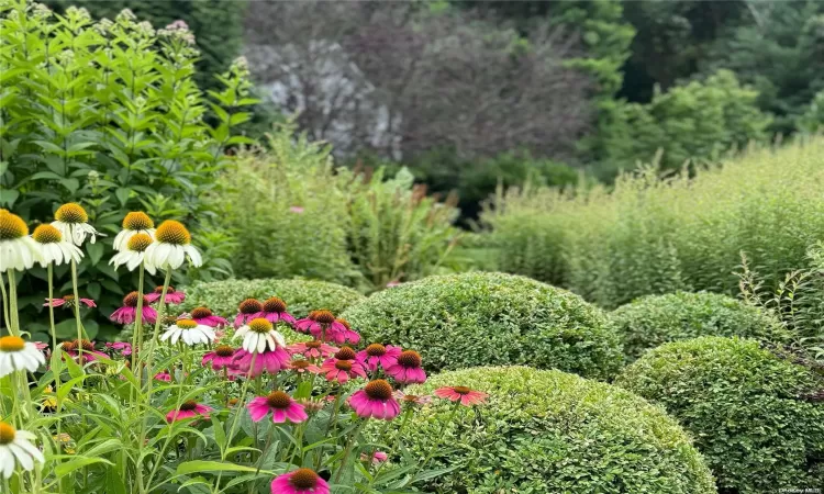 Seasonal Garden