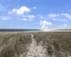 Ocean Dunes