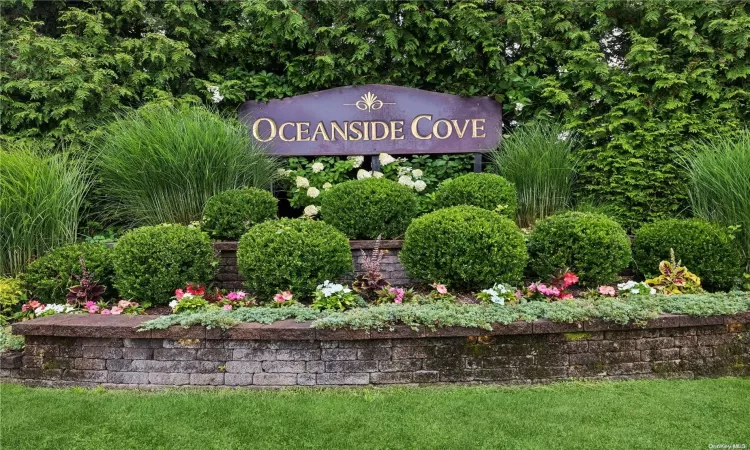 Welcome to Oceanside Cove