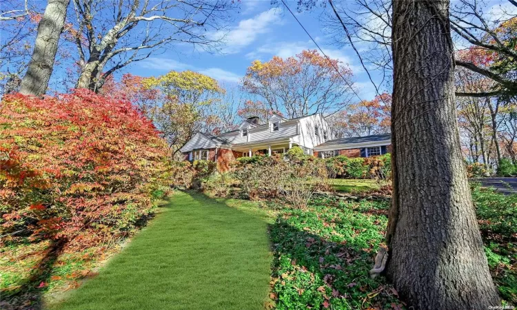 Stunning Backyard Santcuary