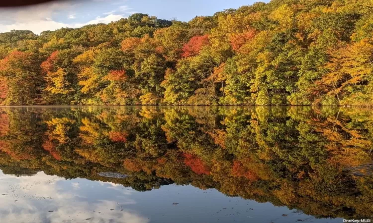 Scenic View Of CSH Pond