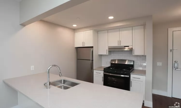 241-15 Northern Boulevard, New York, NY, 2 Rooms Rooms,1 BathroomBathrooms,Residential Lease,For Rent,Northern,L3592164