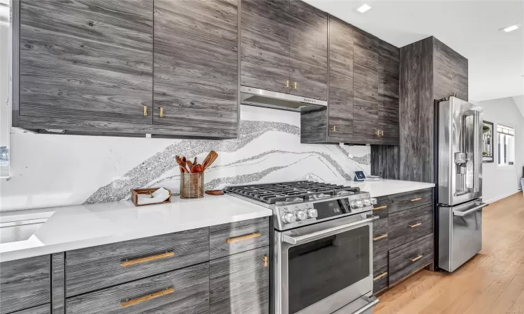 Kitchen with stainless steel appliances, tasteful backsplash, light hardwood / wood-style floors, dark brown cabinets, and exhaust hood