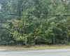 Weeks Avenue, Brookhaven, NY, ,Land,For Sale,Weeks,L3584642