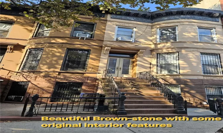 707 Macon Street, New York, NY, 6 Bedrooms Bedrooms, 11 Rooms Rooms,3 BathroomsBathrooms,Residential,For Sale,Macon,L3585159