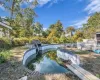 backyard pool