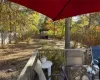 View of Backyard