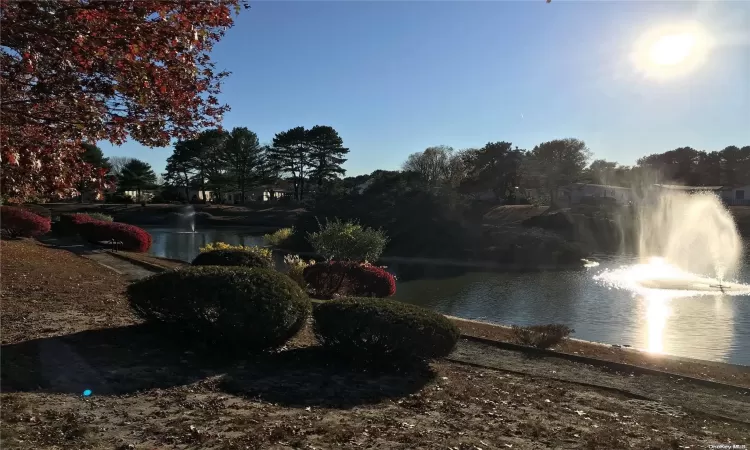 Pond in the rear of home