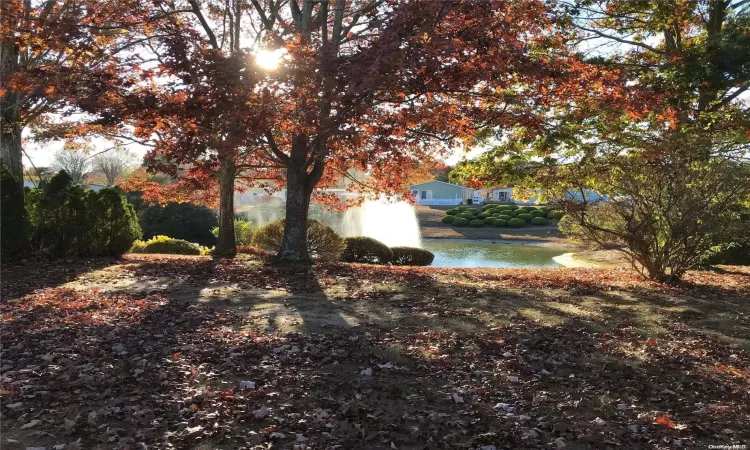 Pond with water feature