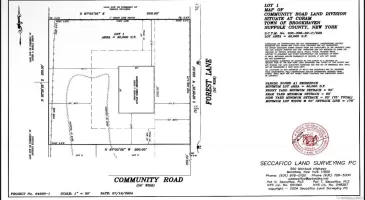 Lot # 1 Forest Lane, Brookhaven, NY, ,Land,For Sale,Forest,L3587237