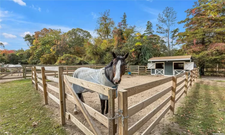 33 Chestnut Stump Road, Huntington, NY, 4 Bedrooms Bedrooms, 8 Rooms Rooms,2 BathroomsBathrooms,Residential,For Sale,Chestnut Stump,L3587759