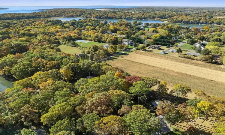 880 Monsell Lane, Southold, NY, ,Land,For Sale,Monsell,L3588019