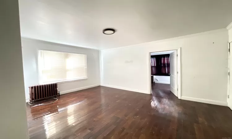 Spare room with crown molding, radiator heating unit, and dark wood-type flooring