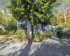 9 Forrest Street, Southampton, NY, 2 Bedrooms Bedrooms, 7 Rooms Rooms,2 BathroomsBathrooms,Residential,For Sale,Forrest,L3588483