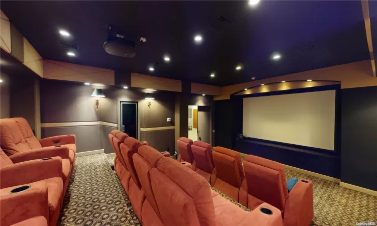 Theater Room