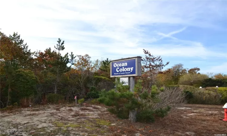 2004 Montauk Highway, East Hampton, NY, 1 Bedroom Bedrooms, 4 Rooms Rooms,1 BathroomBathrooms,Residential,For Sale,Montauk Highway,L3589243