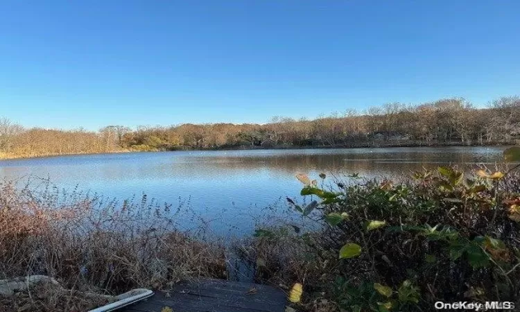 Fresh Pond Lake