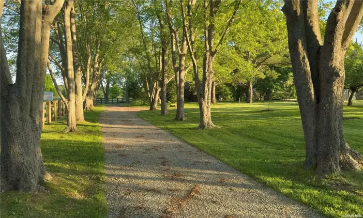 Indian Neck Farm