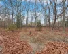 rear yard wooded lot