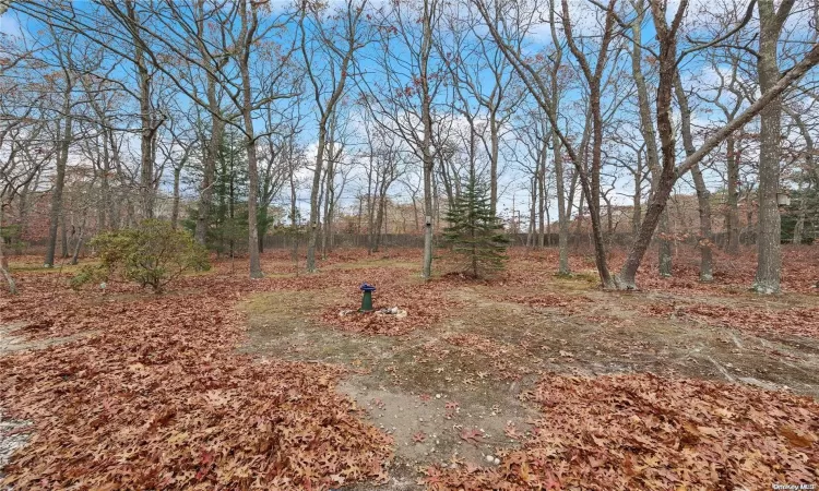 rear yard wooded lot