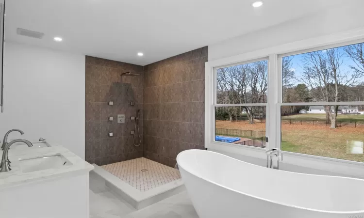 Bathroom with vanity, shower with separate bathtub, and a wealth of natural light