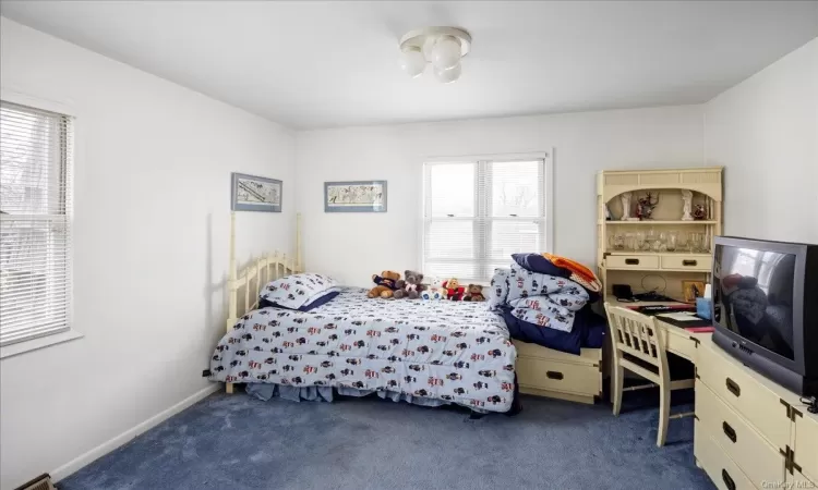 Carpeted bedroom with multiple windows