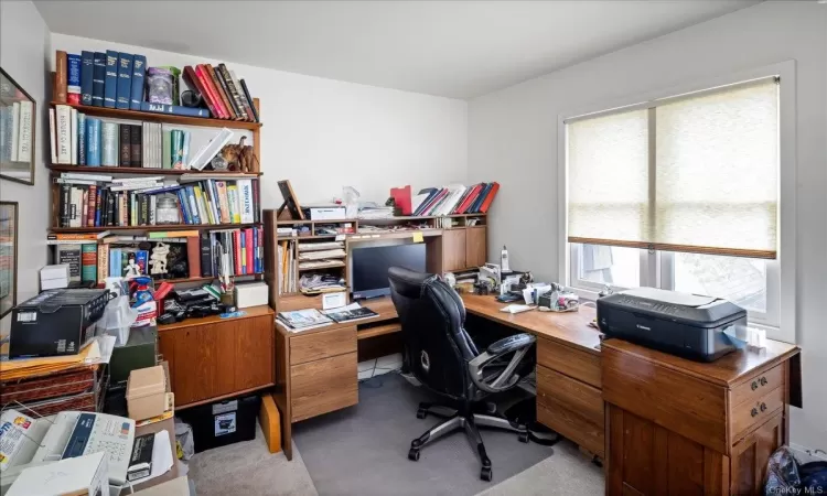 Office space featuring carpet floors