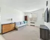 Living area with radiator and light colored carpet