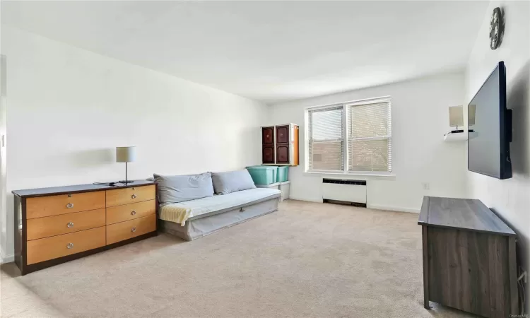 Living area with radiator and light colored carpet