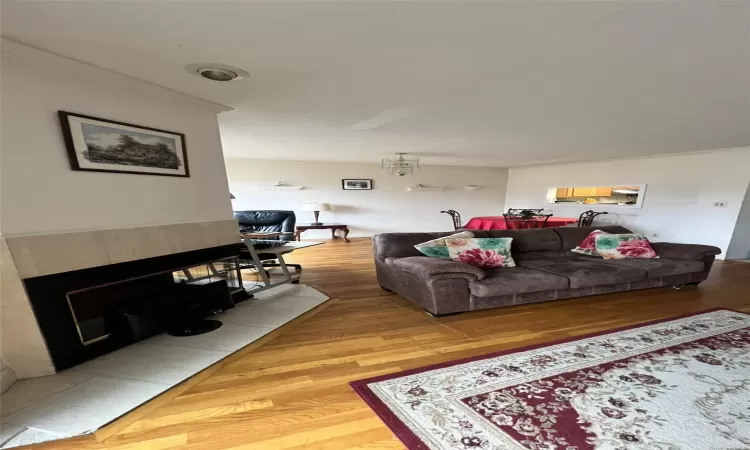 Living room featuring wood-type flooring