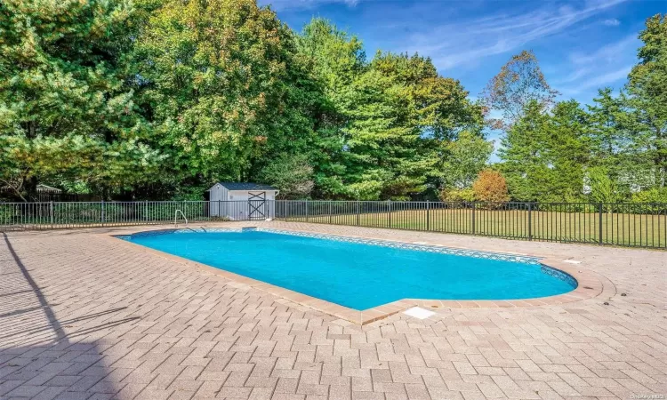 Pool/Pool Patio