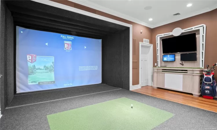 Media Room Golf Simulator