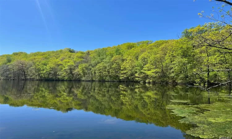 Cold Spring Harbor