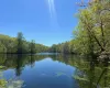 Pond View