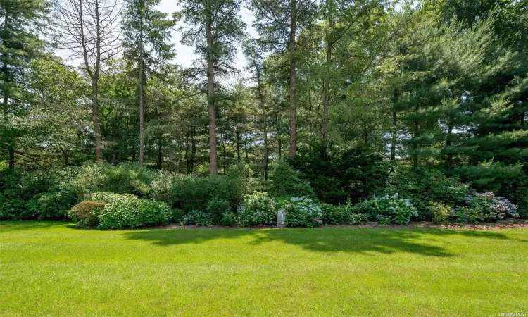 Views of garden and yard.