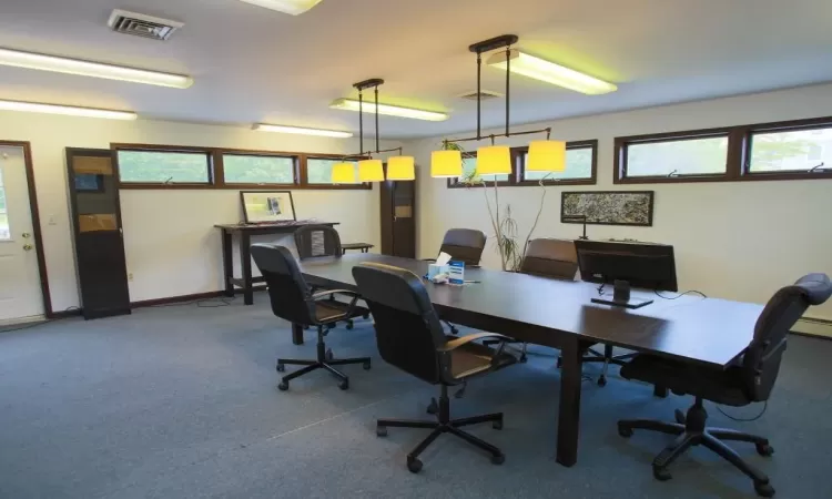 Office featuring a wealth of natural light and carpet flooring