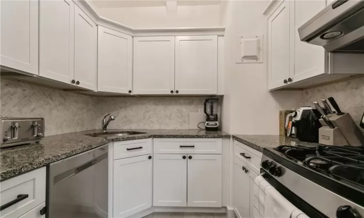 Kitchen with dark stone counters, decorative backsplash, ventilation hood, stainless steel dishwasher, and white cabinets