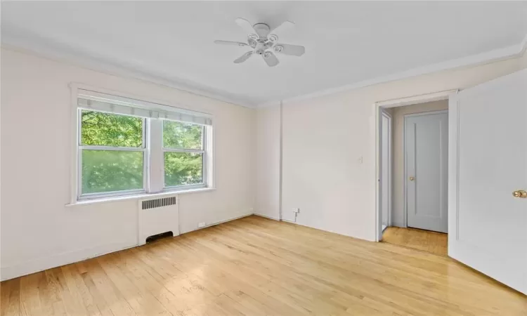 Empty room featuring crown molding, light hardwood / wood-style flooring, ceiling fan, and radiator heating unit