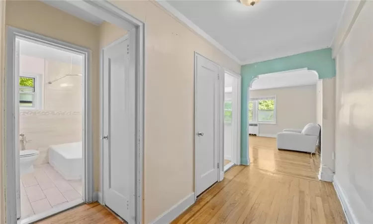 Hall featuring light wood-type flooring, radiator heating unit, and crown molding