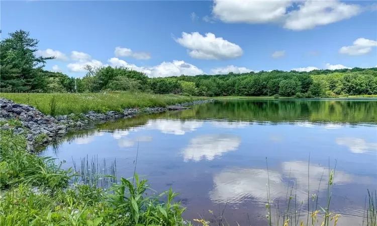 Alimeda Lake