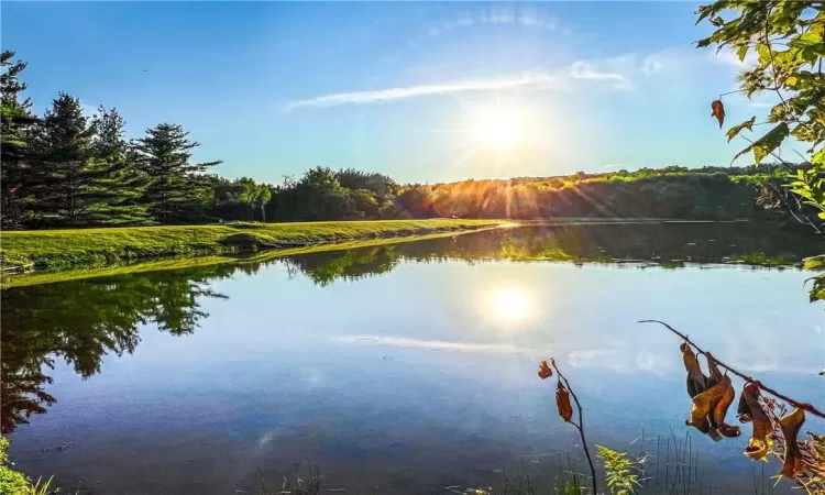 Alimeda Lake